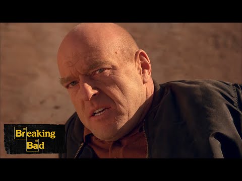 "Do What You Gotta Do" | Ozymandias | Breaking Bad