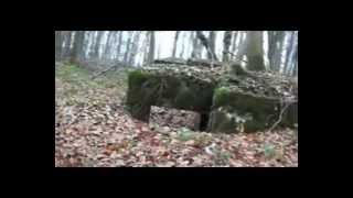 preview picture of video '1914-1918 WW1 : Blockhaus et abris de Mooslargue en forêt du Hag'