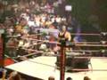 RHINO THROWS CHAIR AT FAN AT HARD JUSTICE 07