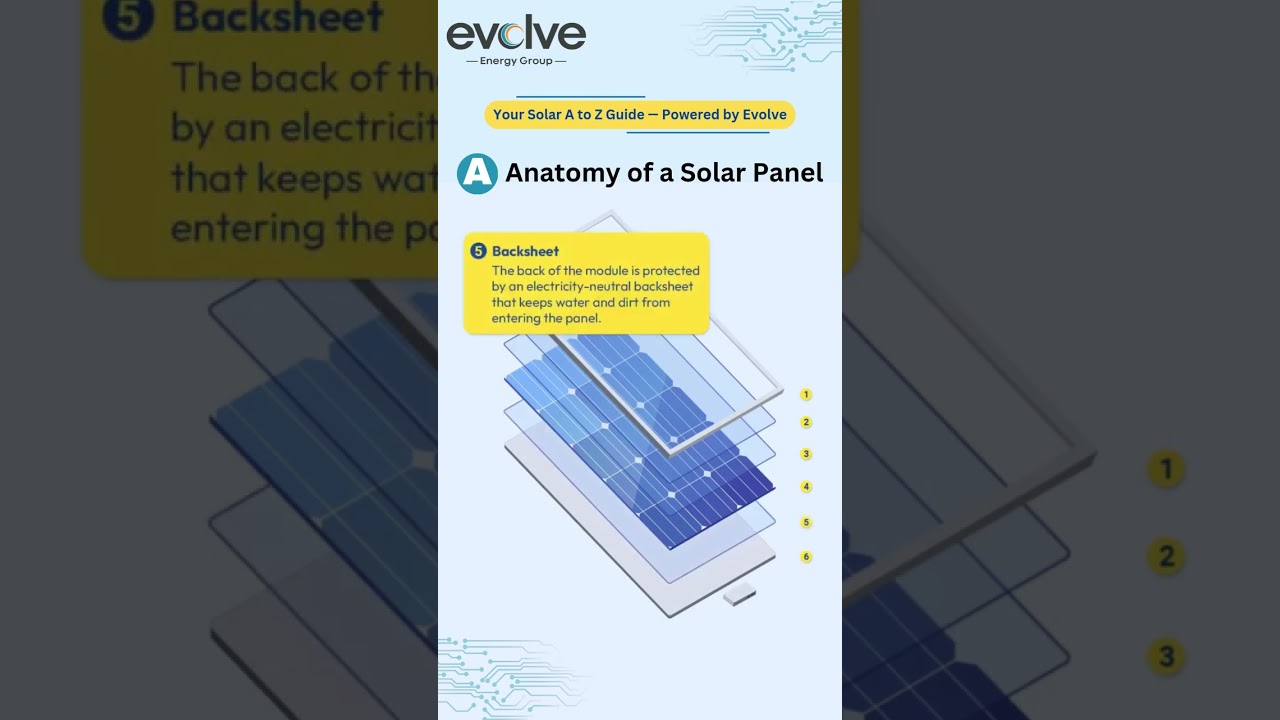 Anatomy of a Solar Panel | Evolve Energy Group | Solar Company in India