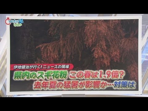 YouTube Video 「目や鼻の中がかゆい」…今年の花粉は平年の1.9倍　耳鼻科医「静岡に引っ越してきた患者が多い」　対策グッズのトレンドは？　