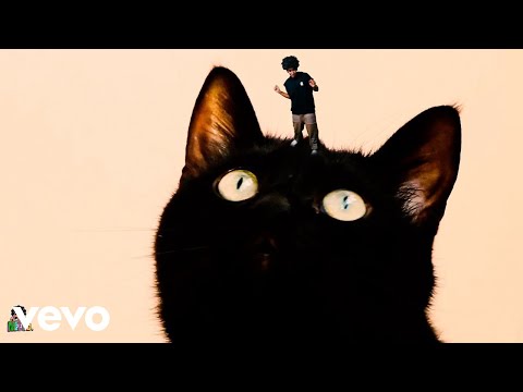 Neeus - Fumo Weed (Official Video)