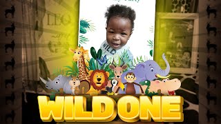 Wild One Birthday Party | 1yo Baby Jungle Theme Party | 1st Birthday Safari Animal Decorations