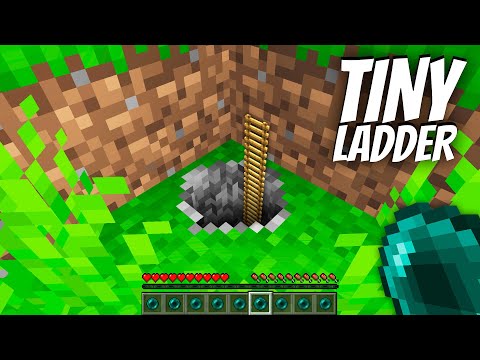 I found a TINY TRAPDOOR in Minecraft ! Where do lead TINY LADDER ?