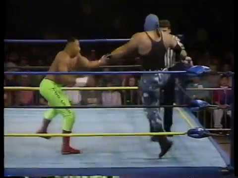 Too Cold Scorpio vs. Executioner [1993-02-13]