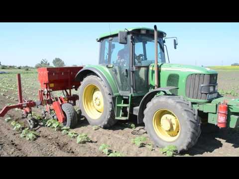 ABK 006 típusú 6 soros sorközművelő kultivátor