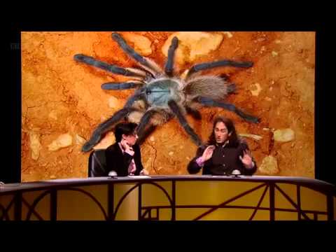 QI XL   Series 10 Episode 9 J Series   Jeopardy