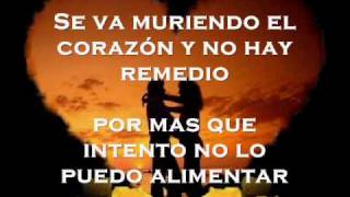 Si tu no vuelves  "Mariano Barba" con letra