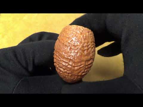 Pipa Viprati Sabbiata Naturale - Fancy Bent Billiard (VI132)