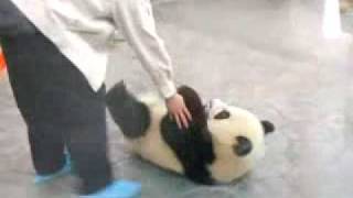 Panda Escape / 熊猫越狱记