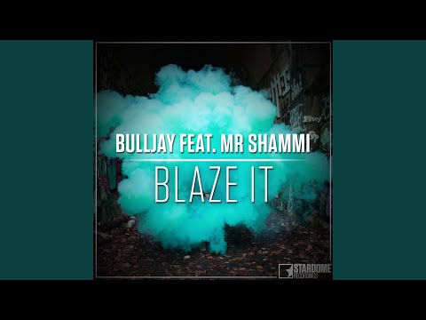 Blaze It (feat. Mr. Shammi) (LUM!X Remix)