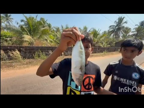 Sunday special with fish and #funny  beach playing😃😉😀