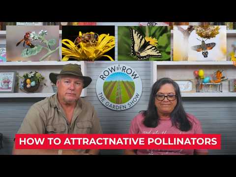 The Secret to A Healthy Garden: Beneficial Insects