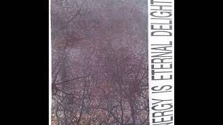 Siegmar Fricke / A Thunder Orchestra ‎- Energy Is Eternal Delight (Full Cassette)