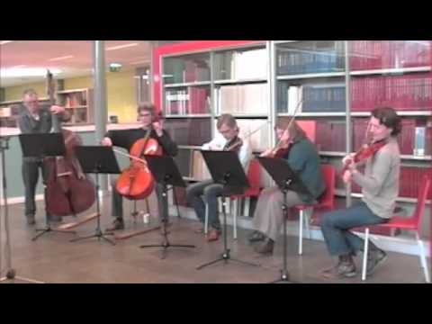 Muziekschatten in concert  Songe d automne