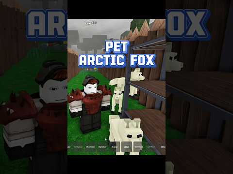 Taming The Arctic Fox on 99 nights in the forest