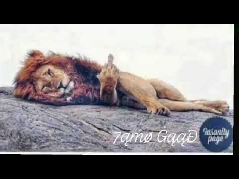 هاتو اخركو انا قعد اتفرج(اسممممع)