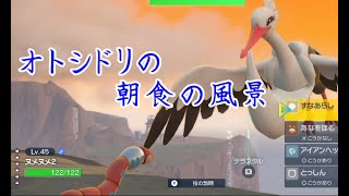 #17【縛りプレイ】押し付けられたポケモン！？「ポケットモンスタースカーレット」【LED】