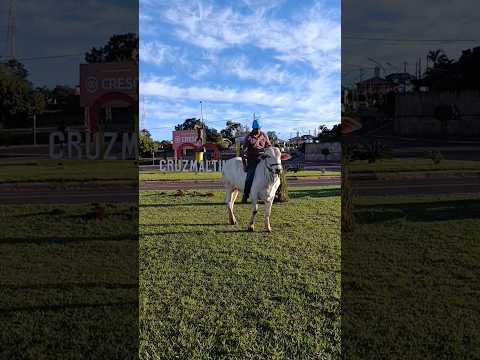Encontrei em cruzmaltina no Paraná