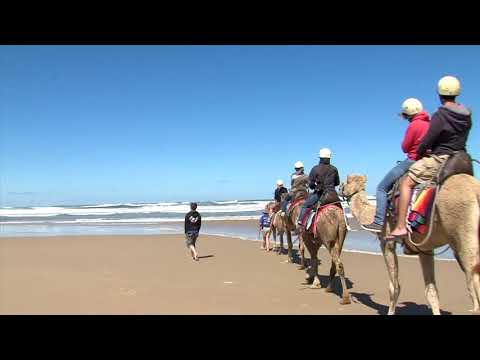 Oakfield Ranch Camel Tours Port Stephens by Grasshopper Travel
