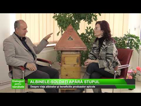 Dialoguri pentru sanatate - Apifitoterapie (II). Cresterea albinelor. Beneficiile produselor apicole
