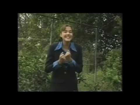 "TIENEN QUE SABER" - ADDY JUAREZ & ARMANDO MIRANDA