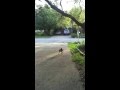 Buster's Last Stand