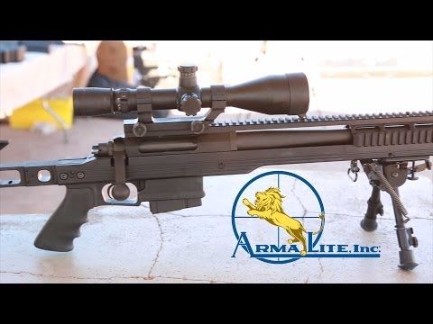 ArmaLite AR-31