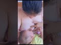 Breastfeeding Menyusui Susu Mulus Mama