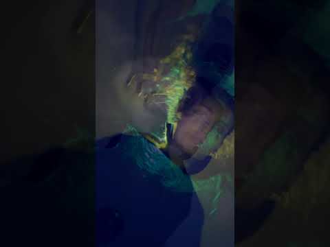 RDF$$$ A.X.L, Câmara de Ecos e Cascavel - O Sol Chegou Mais Cedo (prod. A.X.L)