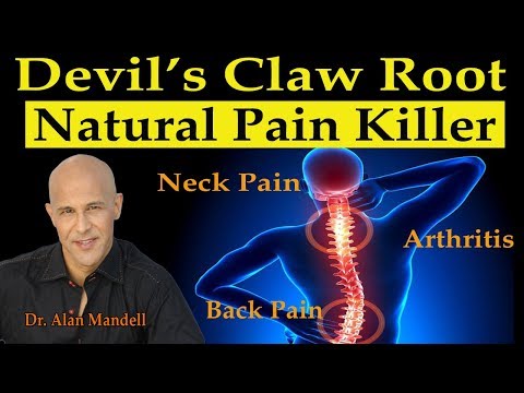 Devil's Claw Root - Natures Super Pain Killer for Neck/Back Pain, Arthritis, Joint Pain