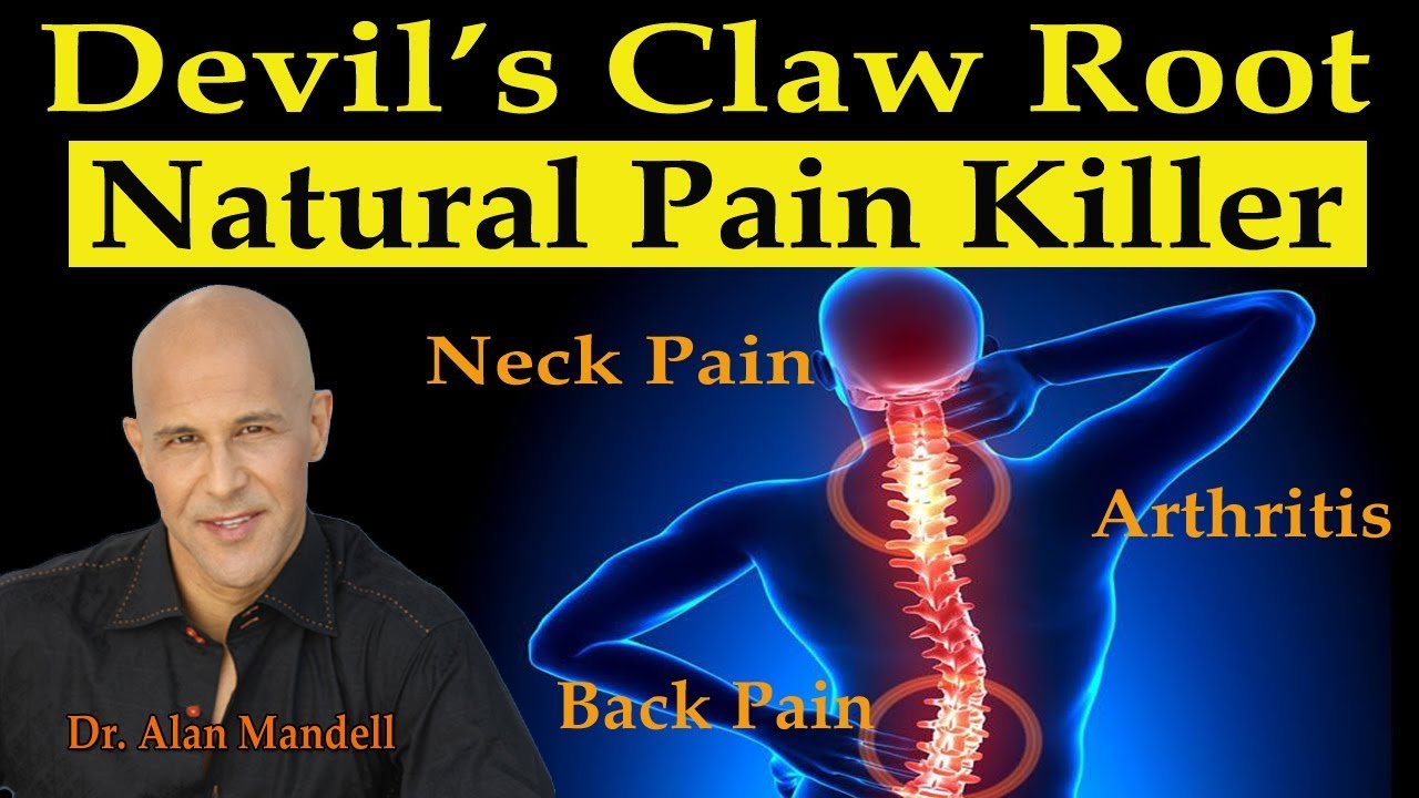 Devil's Claw Root - Natures Super Pain Killer for Neck/Back Pain, Arthritis, Joint Pain - YouTube