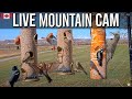 LIVE Rocky Mountain View Bird Feeder Cam - Canada 4K