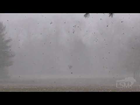 01-20-2021 North Wales, PA - Heavy Snow