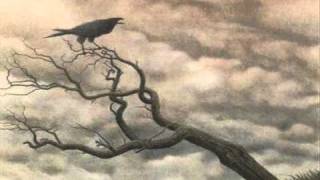 Count Raven -  A Devastating Age