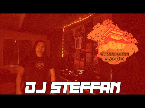 Treehouse Dojo 016 | DJ Steff