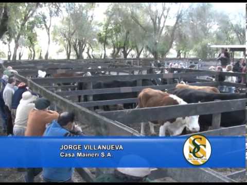 JORGE VILLANUEVA - 06/05/2013 - Casa Maineri S.A. - Bolivar