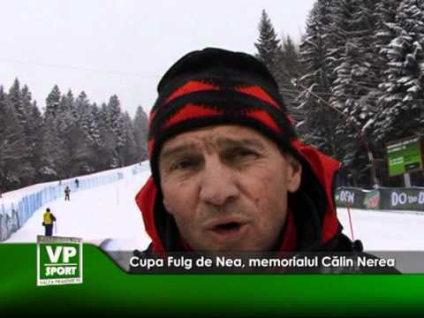 Cupa Fulg de Nea, memorialul Călin Nărea