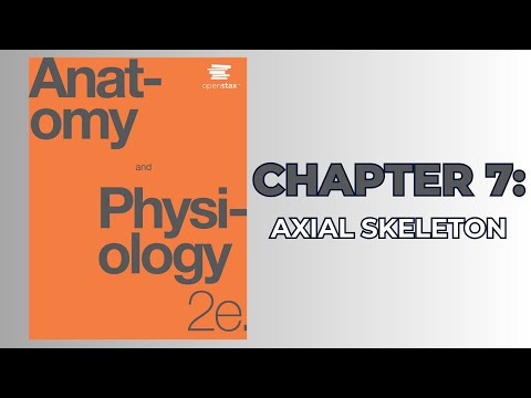 OpenStax Anatomy and Physiology 2e (Audiobook) - Chapter 7: Axial Skeleton