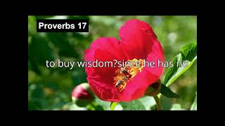 Proverbs 17