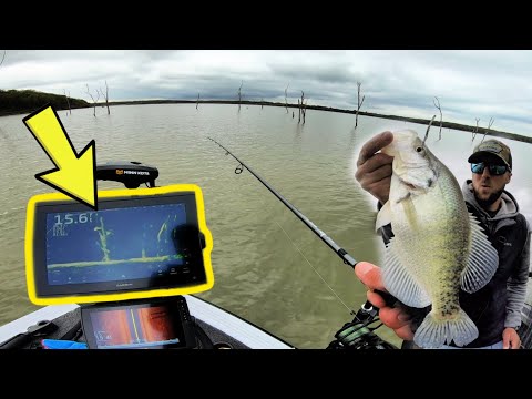 Livescoping GIANT Pre-Spawn Crappies in the Timber!!