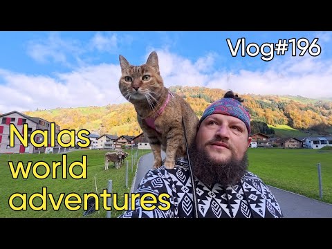 Vlog#196 - Cycling the Klausenpass with Nala cat 🐱❤️