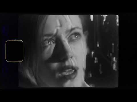 Wonderzero - Porcelain | Curltai Music Vision