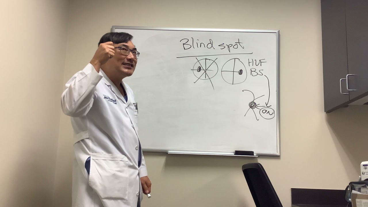 Blind spot physiology