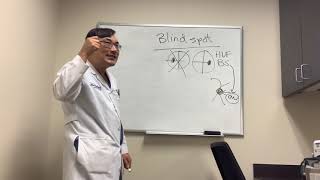 Blind spot physiology