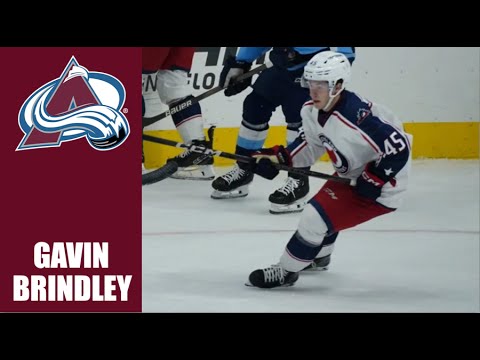 Gavin Brindley | 2024-25 Highlights