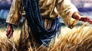 Come, Ye Thankful People, Come