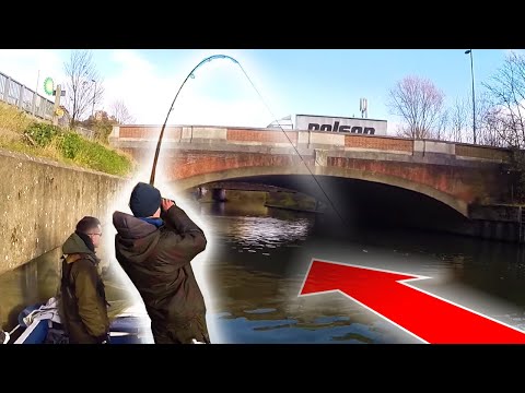 Gedder på Themsen med Carl og Alex