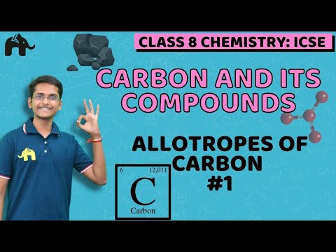 Carbon and its Compounds Class 8 Science ICSE | Selina Chapter 9 | Allotropes of Carbon #1