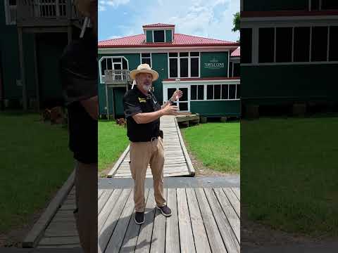 SELU - Turtle Cove Giving Day 2025